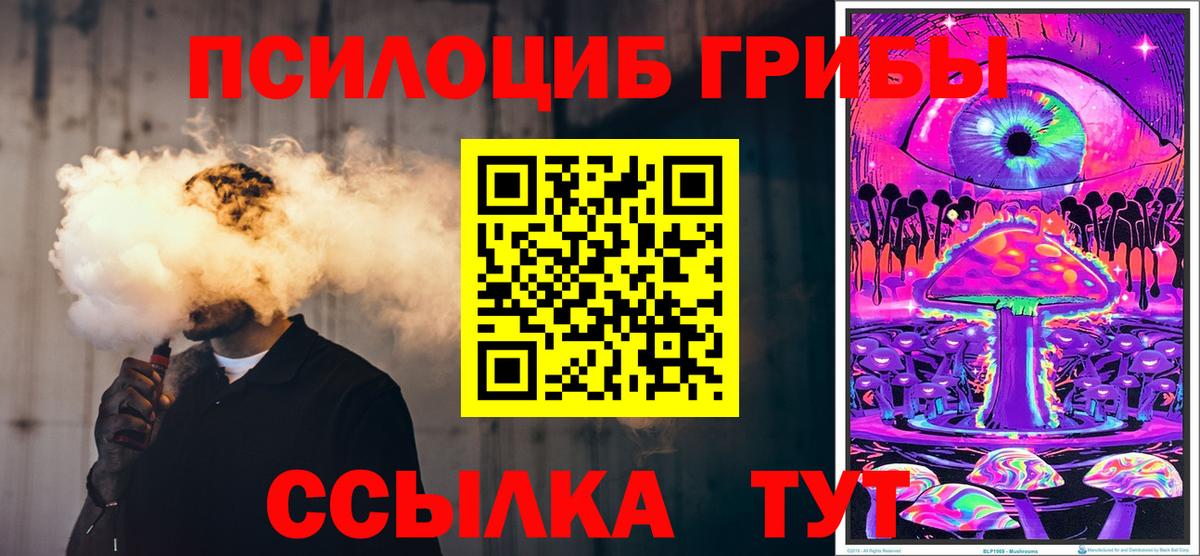 Галлюциногенные грибы прущие грибы  Вход с VPN  Александров 