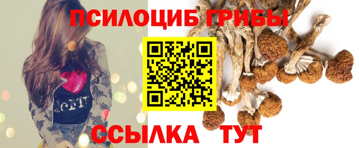 Псилоцибиновые грибы MAGIC MUSHROOMS Александров